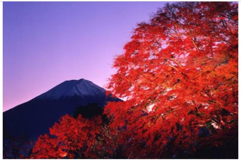 Erable Mt.Fuji "Kaze" Villa Fudzsikavagucsiko Kültér fotó
